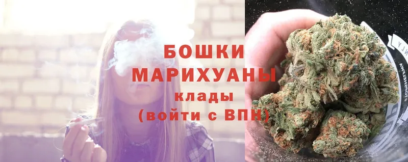 Бошки Шишки SATIVA & INDICA  цена наркотик  Высоковск 